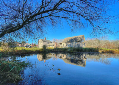Fellner Architects office, pond view